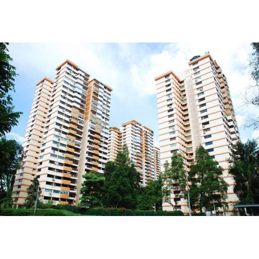 BRADDELL VIEW